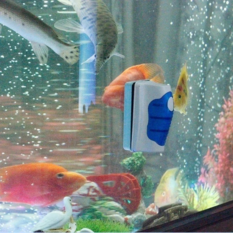 Limpador Magnético para Aquário de Peixes com Ímãs NdFeB - Imagem 4