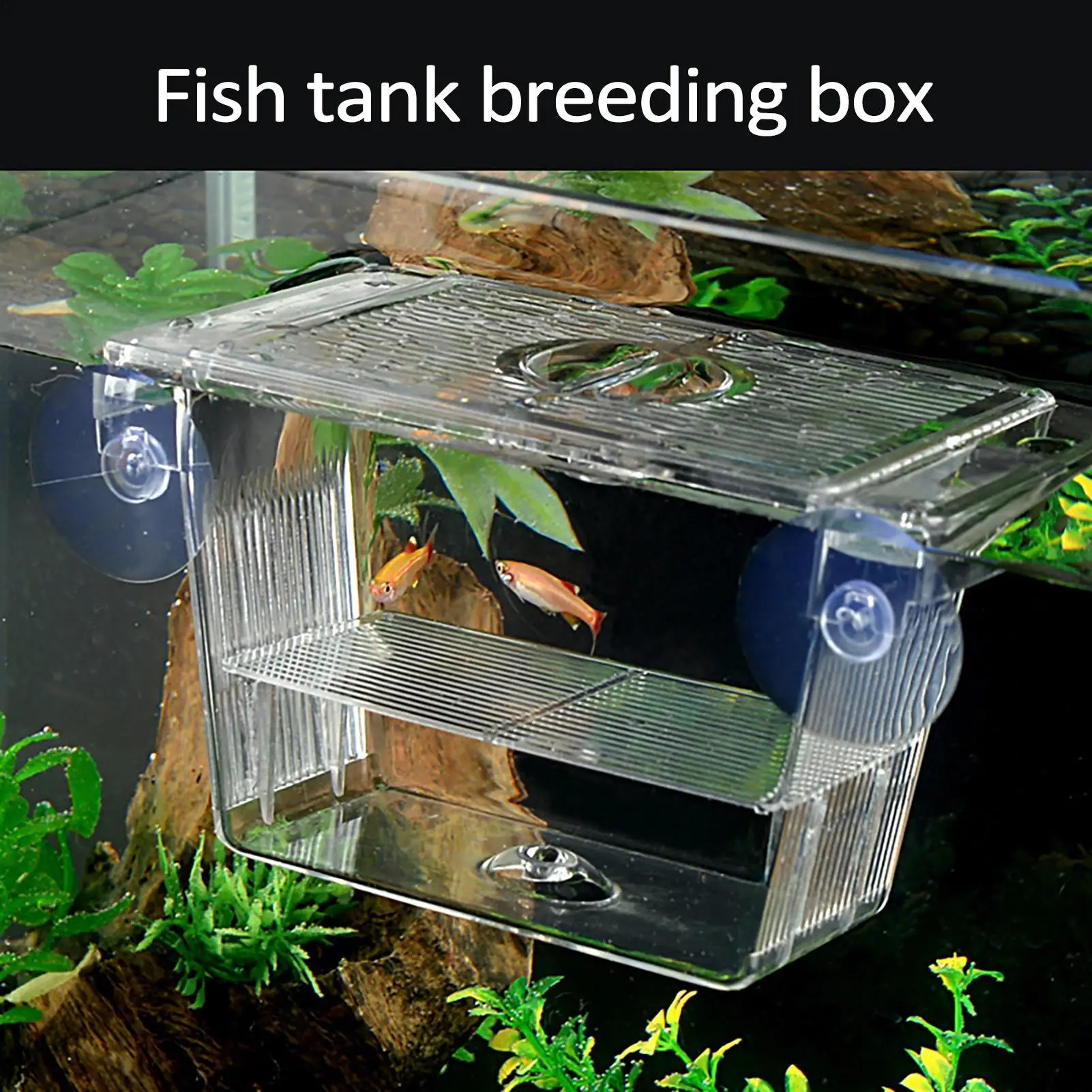 Caixa de Acrílico para Criação de Peixes com Divisória para Aquário - Imagem 3