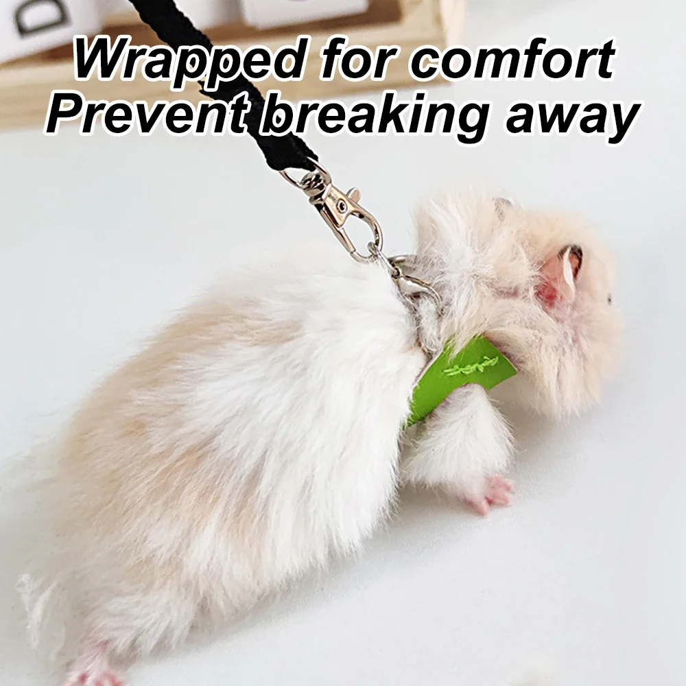 Coleira e Guia para Sugar Glider Ajustável Chocolate - Imagem 5