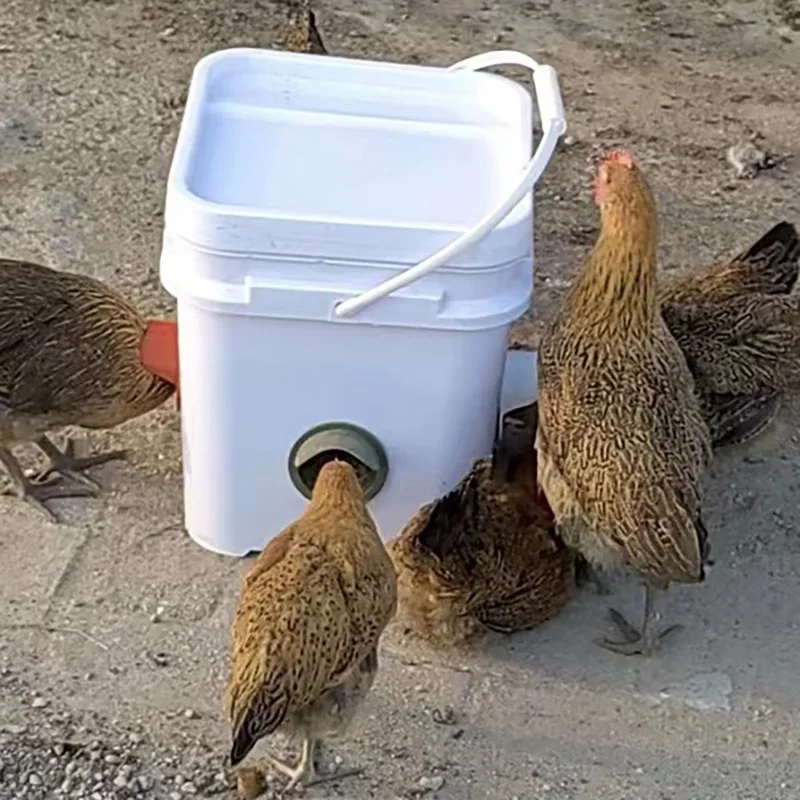 Comedouro e Bebedouro para Aves com 8 Copos Auto-Enchendo - Imagem 6
