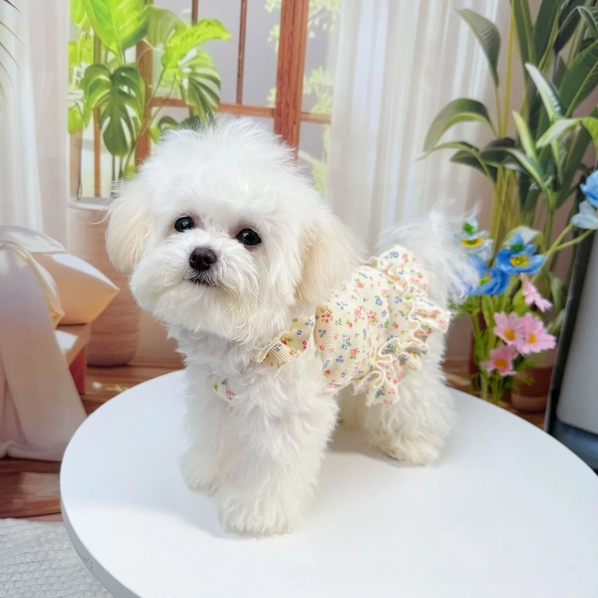 Vestido Floral para Cães e Gatos de Verão - Image 4