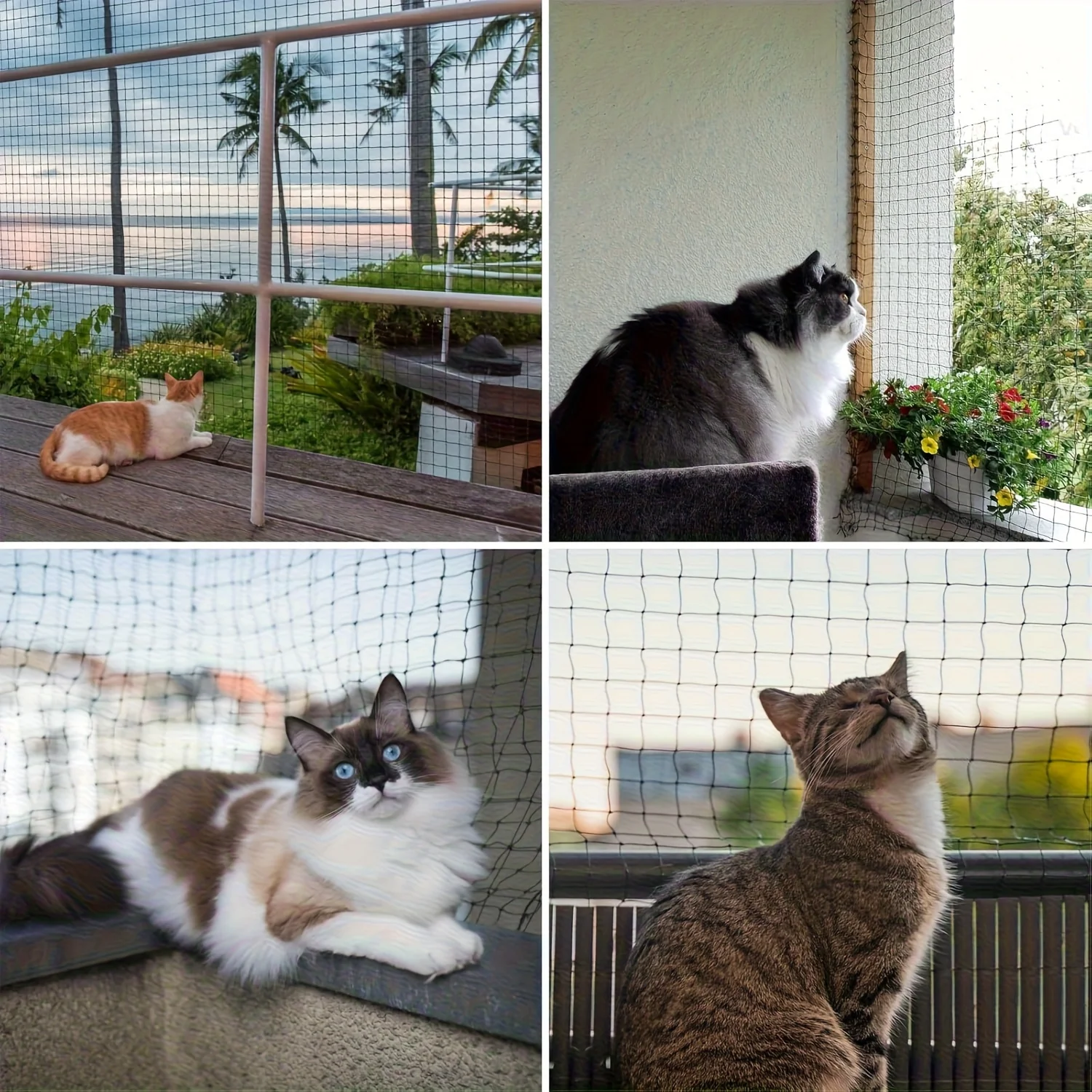 Rede de Proteção para Gatos Anti-Queda para Varanda - Imagem 4