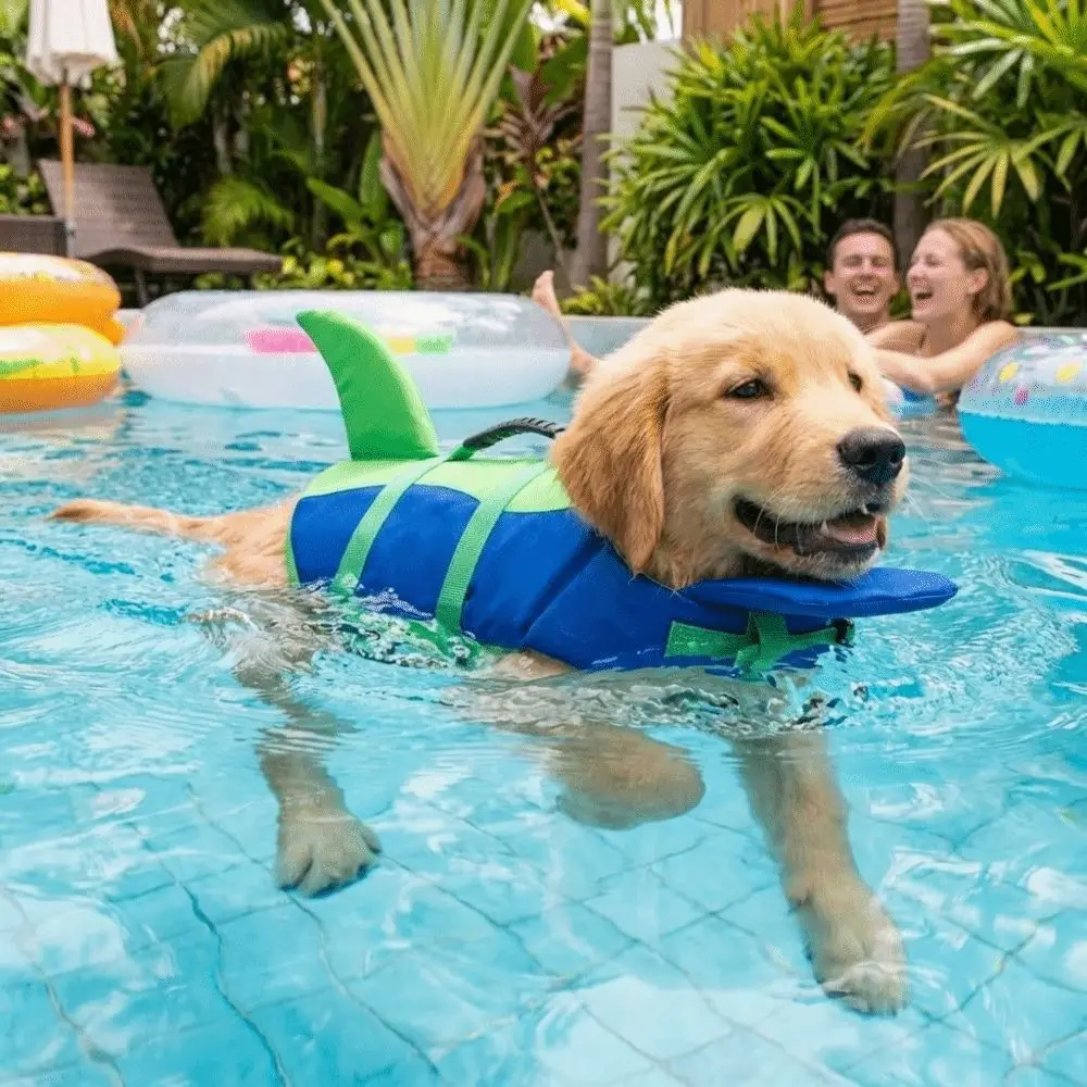Colete Salva-Vidas para Cães de Poliéster Ajustável com Flutuabilidade - Image 4