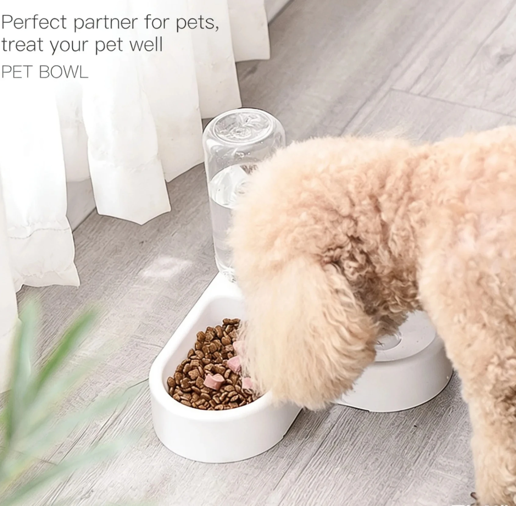 Comedouro Duplo para Cães e Gatos Pequenos com Bebedouro Automático - Imagem 6