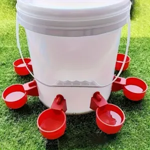 bebedouro automático para aves 5 peças