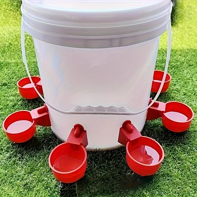 bebedouro automático para aves 5 peças