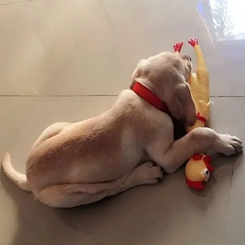 Brinquedo para Cães Galinha Gritante de Borracha com Som - Imagem 6