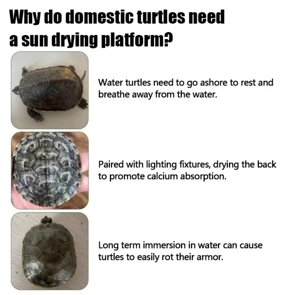 Plataforma Flutuante para Tartarugas de Plástico com Ventosas - Imagem 2