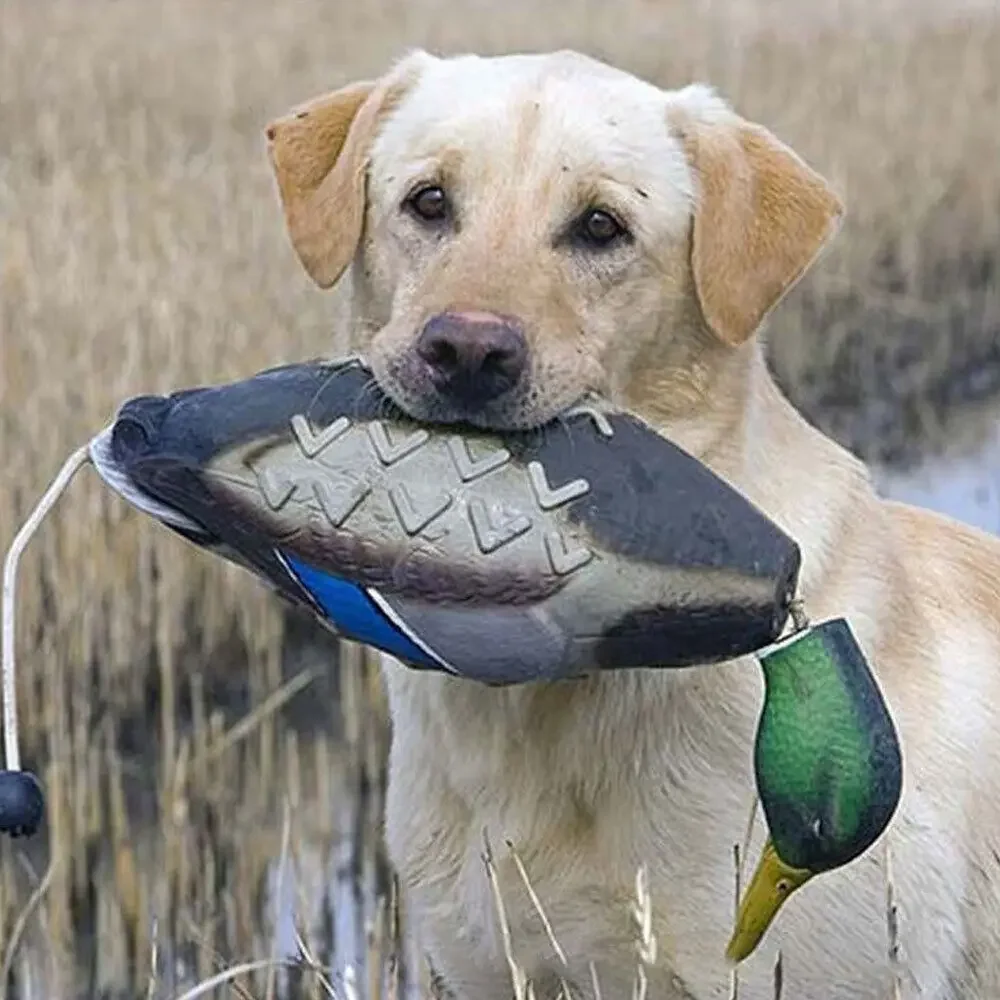 Simulador de Pato para Cães de EVA Flutuante para Treinamento - Imagem 4
