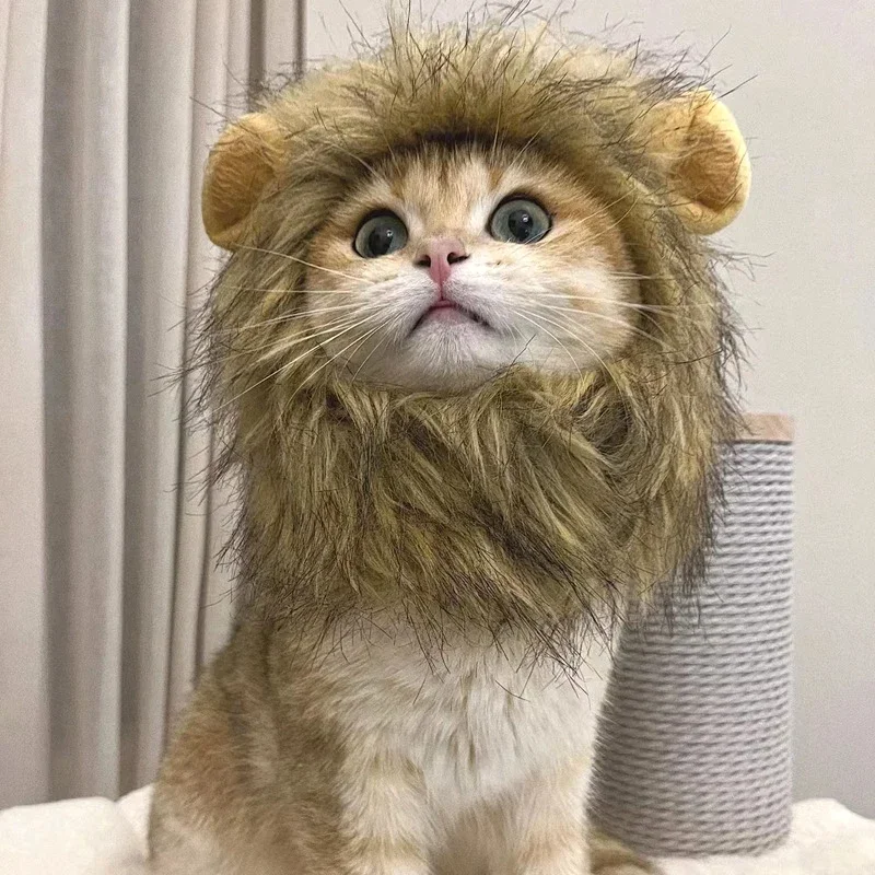 Peruca de Leão para Gatos de Poliéster com Orelhas - Imagem 3