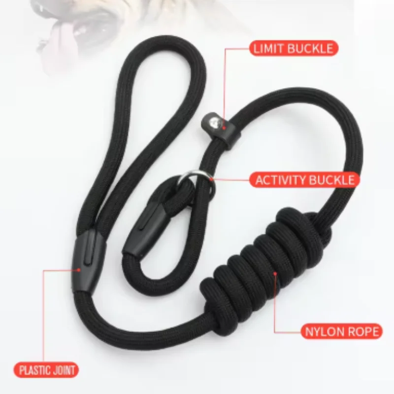 Coleira para Cães Pequenos de Nylon com Liberação Rápida - Imagem 5