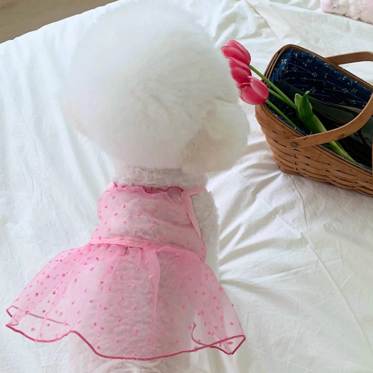 Vestido para Cães Pequenos e Gatos de Algodão Leve e Respirável - Imagem 2