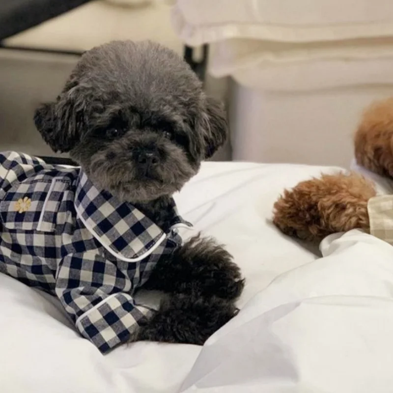 Pijama para Cães de Poliéster Macio para Uso Diário - Image 2