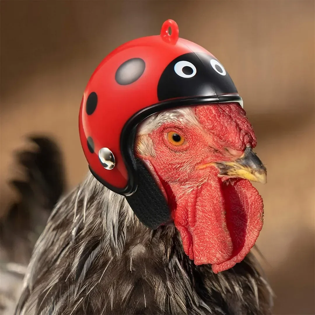 Capacete de Frango para Pássaros Pequenos com Elástico Ajustável - Imagem 3