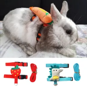 conjunto coleira e guia para hamster