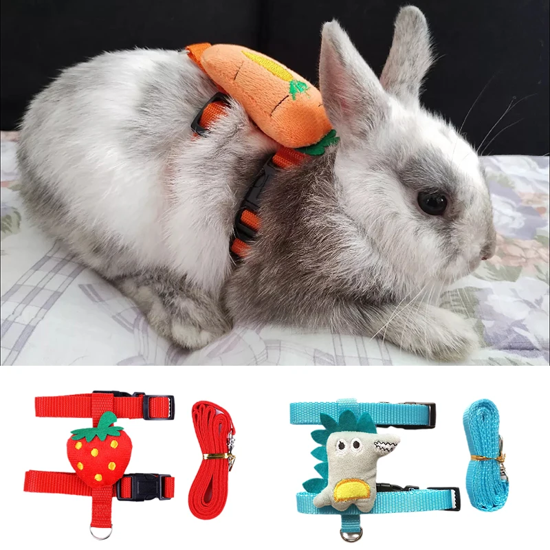 conjunto coleira e guia para hamster