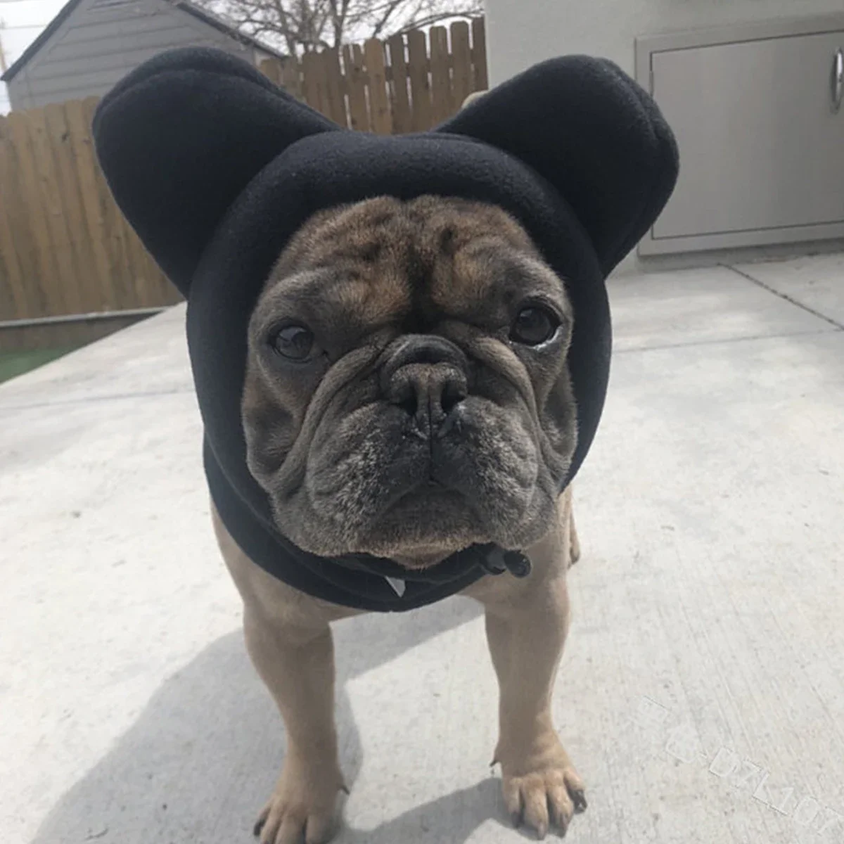 Chapéu de Lã para Cães Pequenos Ajustável com Orelhas de Morcego - Image 4