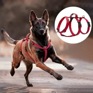 arnês de nylon para cães com alça ajustável
