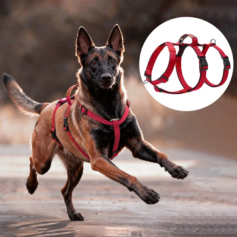 arnês de nylon para cães com alça ajustável