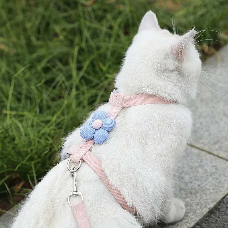 Coleira e Guia para Gatos e Cães Pequenos Ajustável e Respirável - Imagem 4