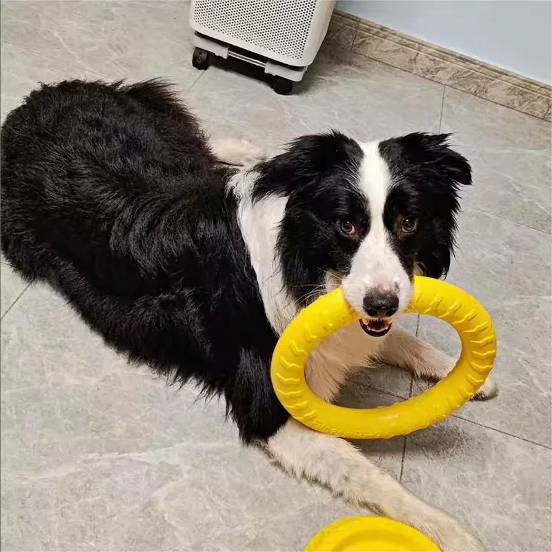Brinquedo Frisbee para Cães com Corda para Treinamento ao Ar Livre - Imagem 3