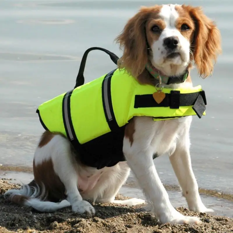 Colete Salva-Vidas para Cães Ajustável e Refletivo, Cores Vibrantes - Imagem 4