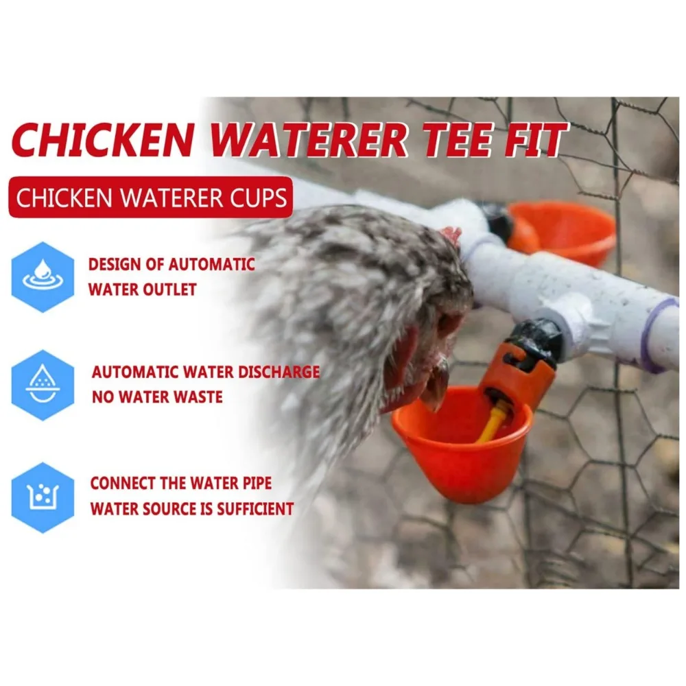 Bebedouro Automático para Aves Galinhas Codorna com Encaixe em Balde - Imagem 4