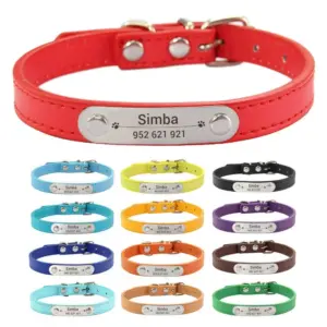 coleira personalizada para cães e gatos
