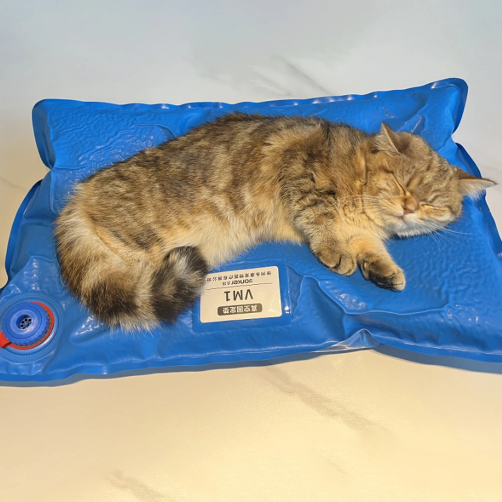 Tapete de Posicionamento para Exame Veterinário Pequeno - Image 3