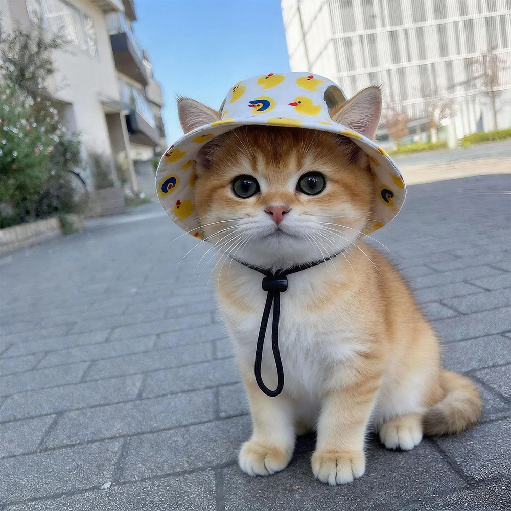Chapéu de Pescador para Cães e Gatos Pequenos com Ajuste Regulável - Image 5
