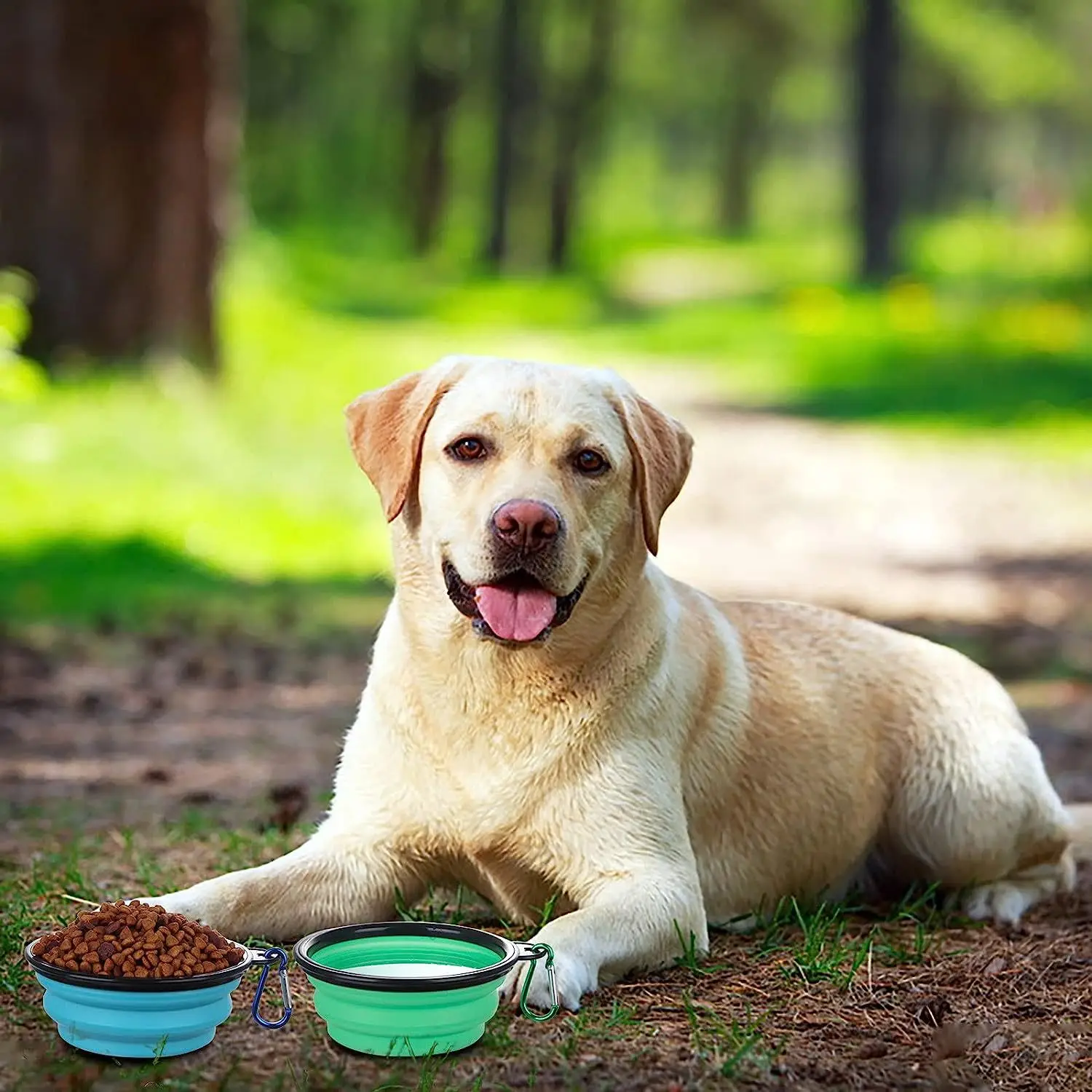 Tigela Dobrável para Cães e Gatos de Silicone Portátil - Imagem 3