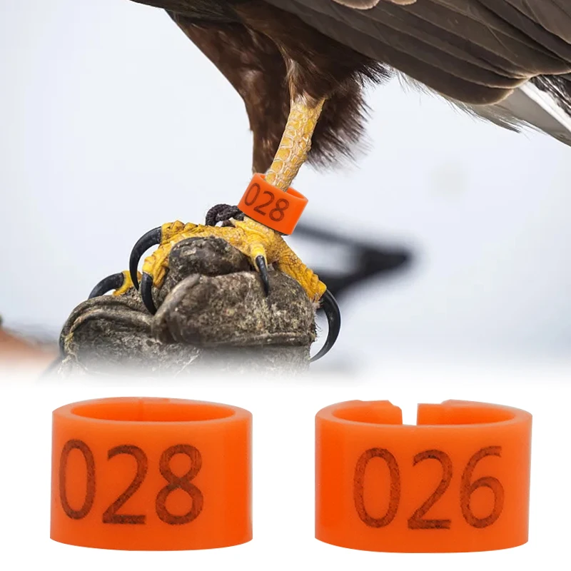 Anéis de Identificação para Pombos e Aves de Plástico Coloridos 100 Peças - Imagem 3