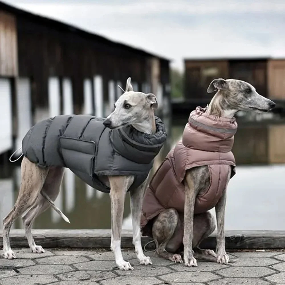 Casaco de Inverno para Cães e Gatos Impermeável de Lã - Image 5