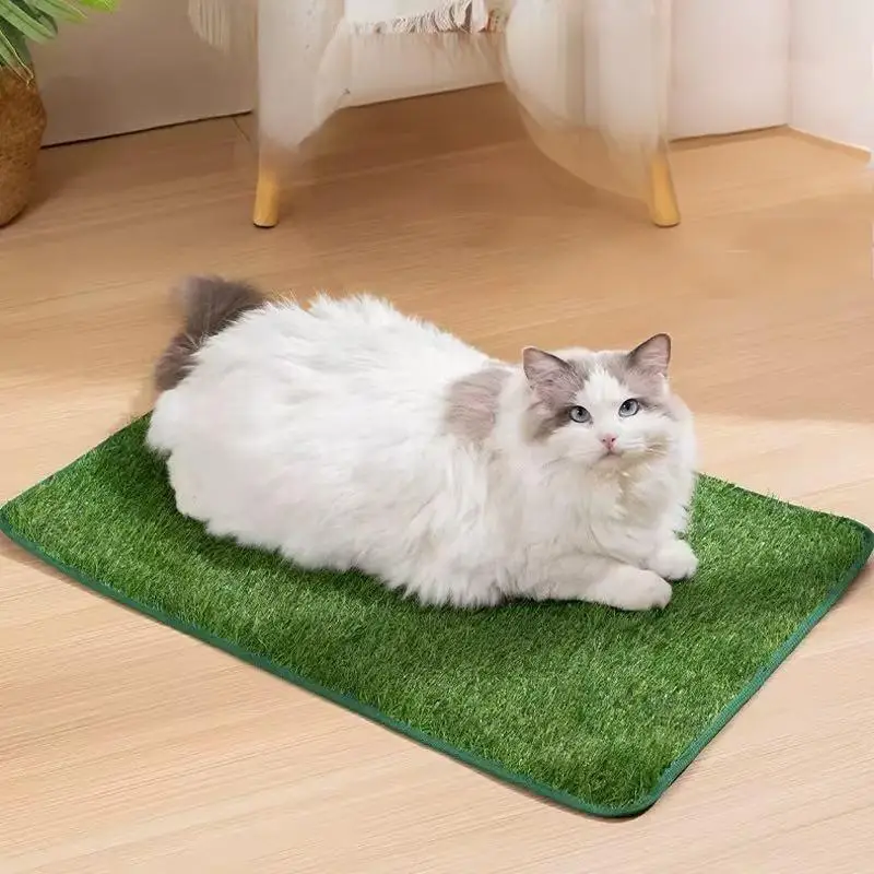 Esteira de Treinamento para Cães Lavável com Gramado Sintético - Imagem 4