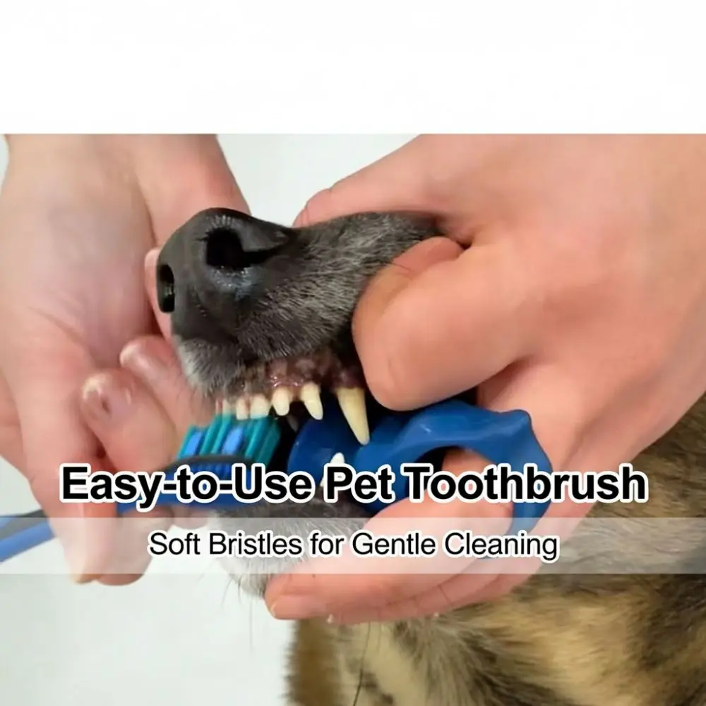escova de dedo para cães de silicone
