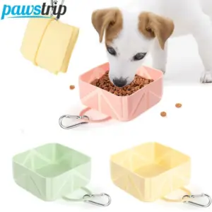 tigela portátil de silicone dobrável para cães