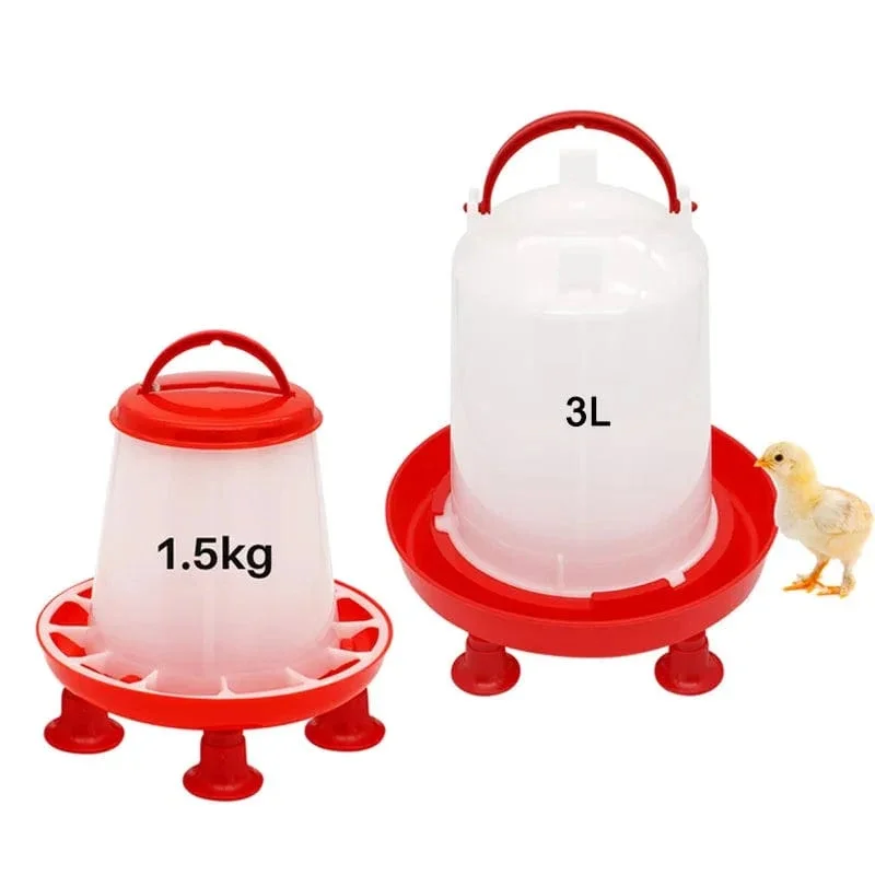 bebedouro automático para aves