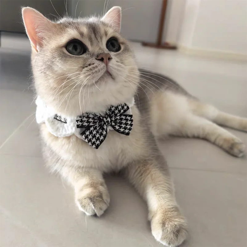 Coleira de Crochê para Gatos e Cães Pequenos com Gravata Borboleta - Imagem 2