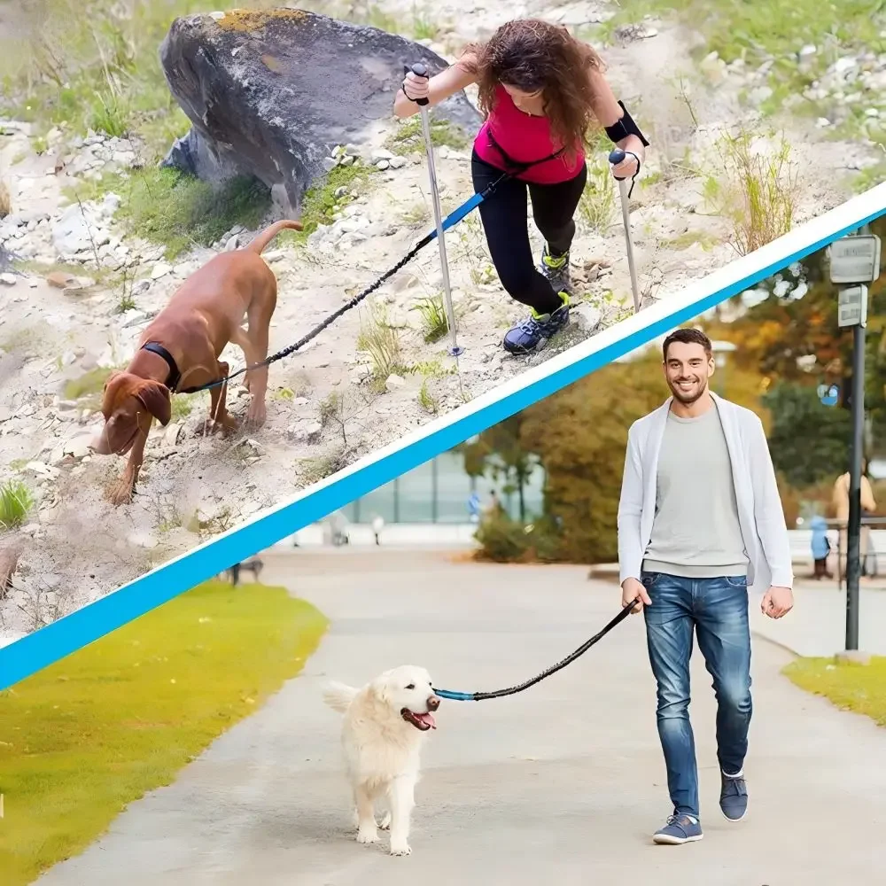 Coleira Retrátil para Cães com Cinto Ajustável e Faixa Refletiva - Imagem 2