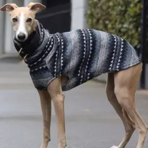 colete de lã para cães galgo