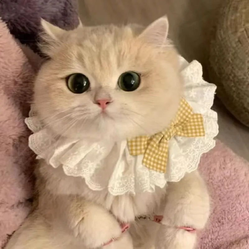 Coleira de Seda para Gatos e Cães, Lenço de Fita Estilo Princesa - Imagem 6