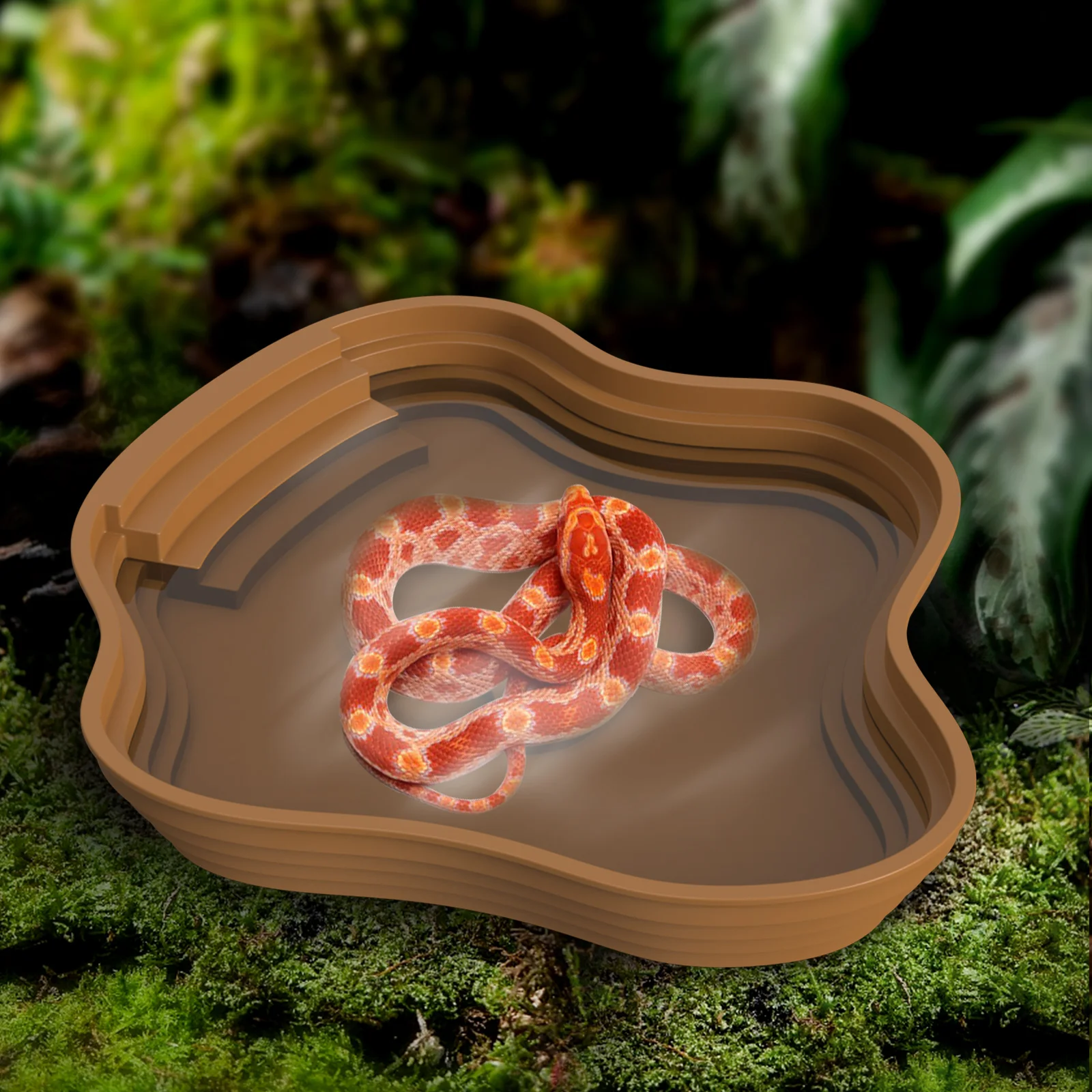 Bacia de Banho para Tartarugas e Sapos com Múltipla Usos - Imagem 5