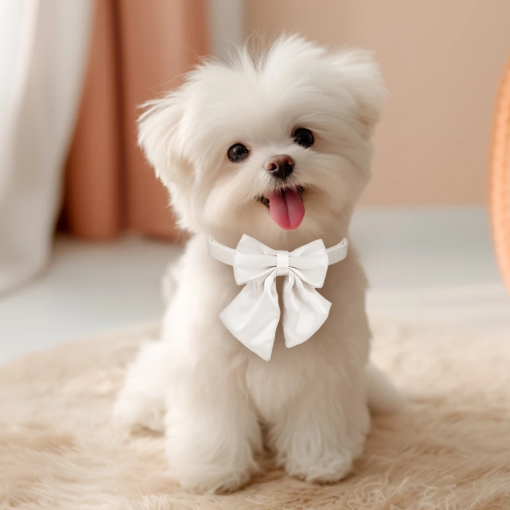 Coleira para Cães com Gravata Borboleta Removível Poliéster Brilhante - Image 2