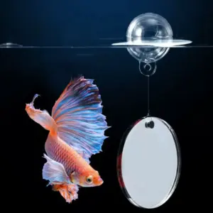 espelho de treinamento para peixe betta