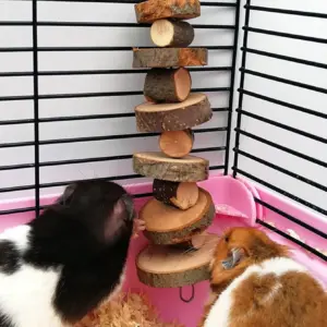 brinquedo mastigador de madeira para hamster