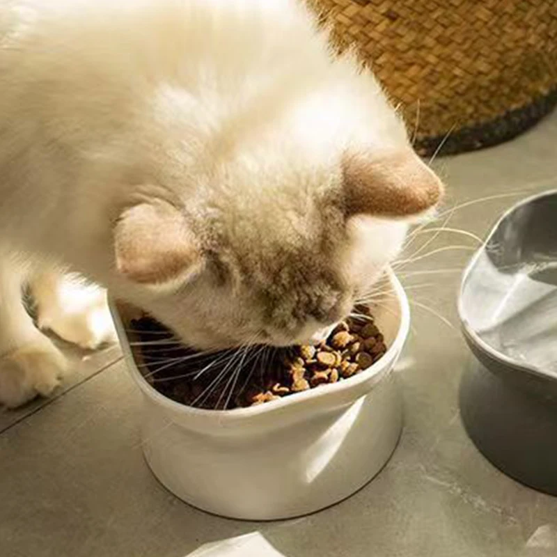 Tigela para Cães e Gatos de Plástico 12 cm Dupla Face - Imagem 3