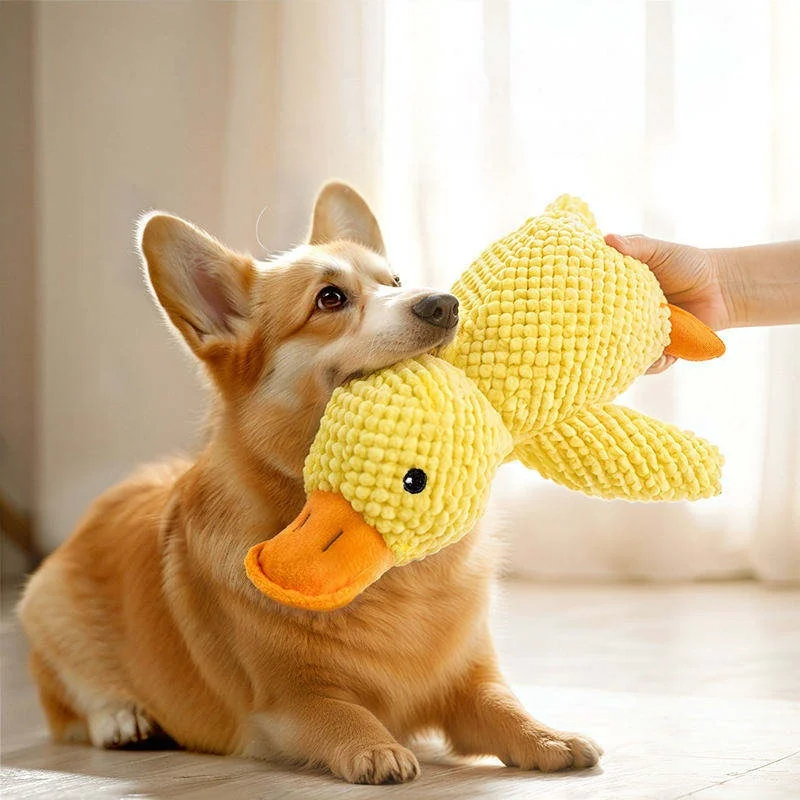 Brinquedo de Pelúcia Pato para Cães e Gatos com Som - Imagem 2
