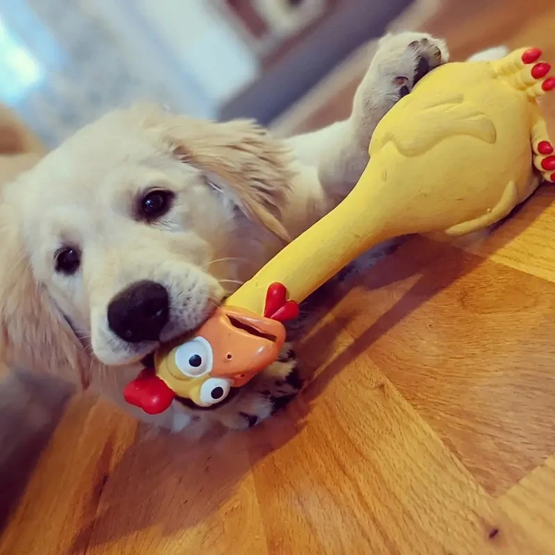 Brinquedo de Látex para Cães com Som 26 cm para Mastigar - Imagem 2