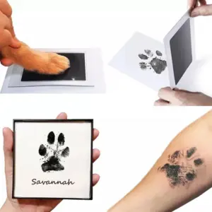 kit de pegada para cães e gatos sem tinta