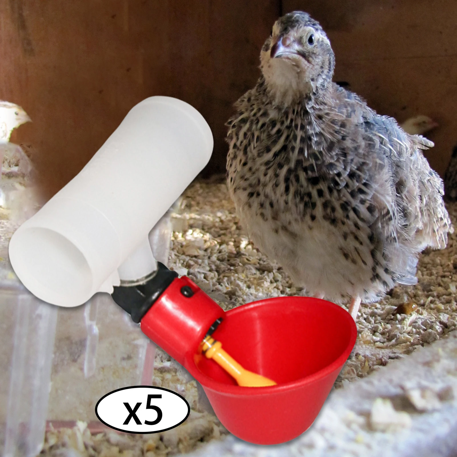 Bebedouro Automático para Aves de Plástico, 5 Peças - Imagem 3
